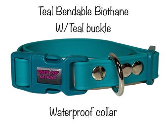 Teal Biothane waterproof Dog Collar with Adjustable side release Buckle