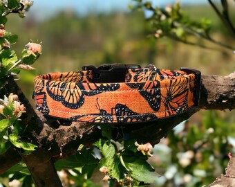 Monarch butterfly dog collar, handmade dog collar, orange and black, side release adjustable dog collar, washable collar, girl dog collar,
