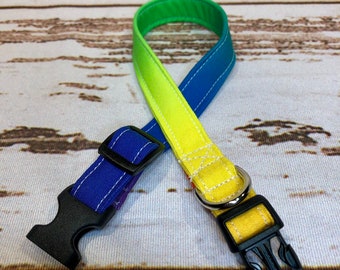 Rainbow pride, standard adjustable dog collar or martingale collar
