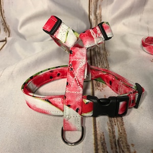 Watermelon Dog Harness and Leash Set: Step-In or Standard