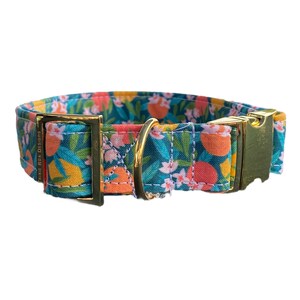 Peut inclure: Un collier pour chien bleu sarcelle avec une boucle dor&eacute;e et un imprim&eacute; floral avec des oranges, des citrons et des fleurs blanches. Le collier est fabriqu&eacute; par "Dixie Rox Designs".