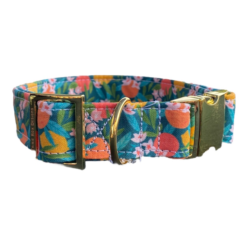Peut inclure: Un collier pour chien bleu sarcelle avec une boucle dor&eacute;e et un imprim&eacute; floral avec des oranges, des citrons et des fleurs blanches. Le collier est fabriqu&eacute; par "Dixie Rox Designs".