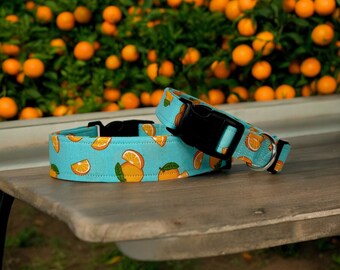 Orange dog collar, tangerine dog collar, fruit dog collar, food dog collar, side release adjustable collar, washable, handmade dog collar,