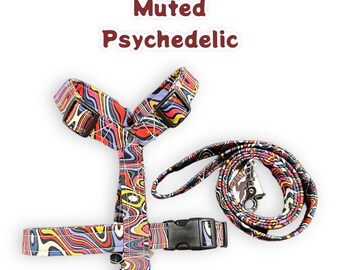 Psychedelic dog harness and leash set, standard Roman dog harness, step in dog harness, matching leash, rainbow, adjustable dog harness
