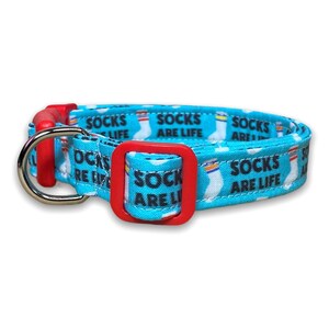 The blue sock dog collar displayed with its metal D-ring and red plastic adjuster slide visible.
