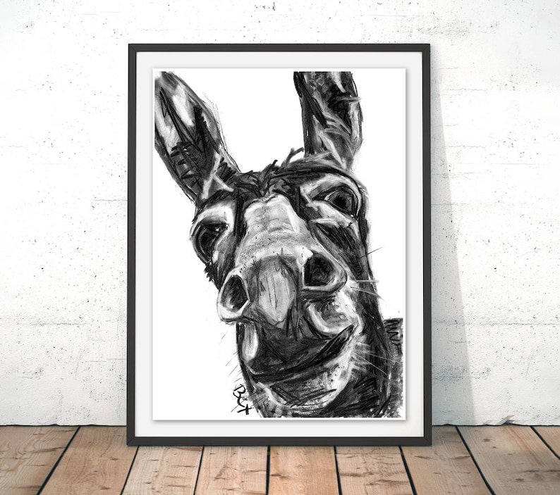 Donkey Art Print Donkey Wall Art Charcoal Illustration Donkey Etsy