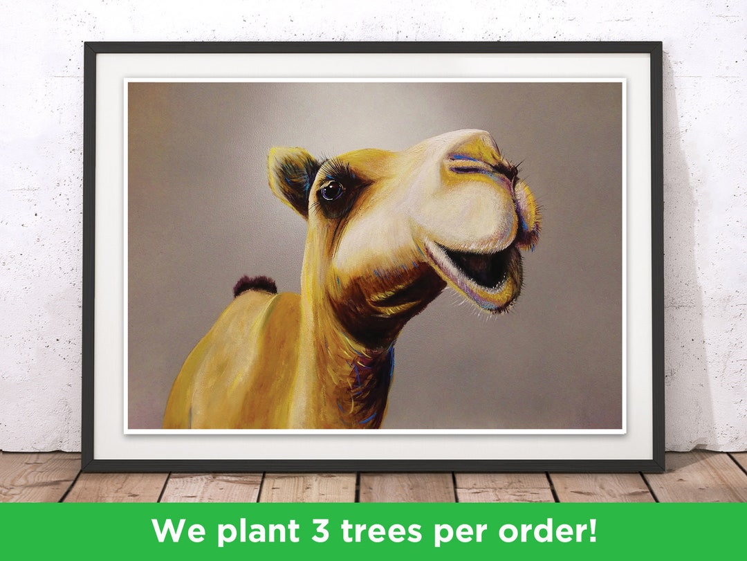 Wandschild „Slow Camel At Play“ – Lustiges Kamel Alu-Schild Für Garten & Wohnung