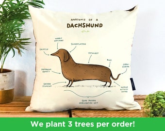 Anatomy Of A Dachshund Pillow by Sophie Corrigan | Cute Dog Vegan Gift Cushion | illustrated DachshundCushion | Funny Dog Pillow