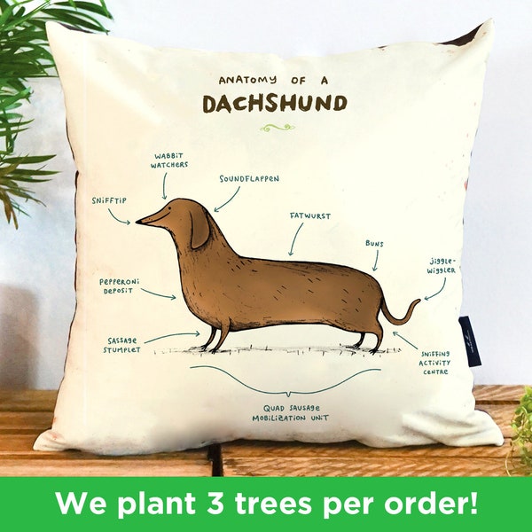 Anatomy Of A Dachshund Pillow by Sophie Corrigan | Cute Dog Vegan Gift Cushion | illustrated DachshundCushion | Funny Dog Pillow