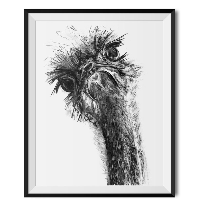 Ostrich Print by Bex Williams, Ostrich Wall Art, Ostrich Illustration, Ostrich Art Print Wall Hanging, Bird Print, Bird Illustration image 2