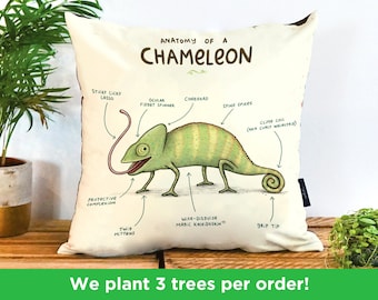 Anatomy Of A Chameleon Pillow by Sophie Corrigan | Cute Chameleon Vegan Gift Cushion | illustrated Chameleon Cushion | Funny Chameleon Gift