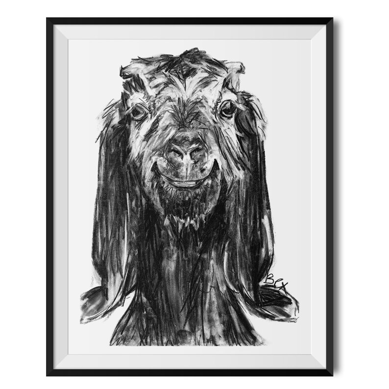Goat Art Print Goat Wall Art Goat Charcoal Illustration Goat Etsy