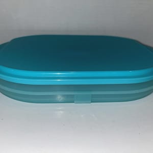 May include: An oval-shaped food storage container with a solid turquoise lid and a translucent, light blue base. The container features a low-profile design with smooth, rounded edges and a secure, fitted lid that sits flush against the base.