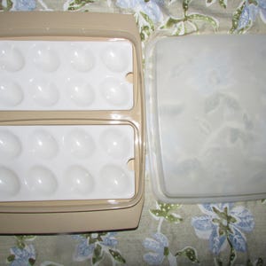 May include: A beige plastic egg container with two rows of egg holders and a clear, frosted lid. The container is open, revealing the white egg-shaped compartments. The lid is off to the side, showing a floral pattern.