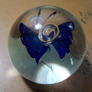 May include: A clear glass paperweight with a blue butterfly design. The butterfly has detailed wings and is encased within the glass sphere. The paperweight is round and sits on a light brown surface.