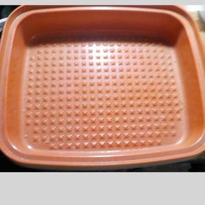 Vintage Tupperware SEASON-SERVE® Large Marinating Container(s) #1294 Free  Ship!