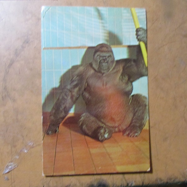Vintage New Milwaukee County Zoo Park Samson Gorilla Historical Postcard Free USA Shipping