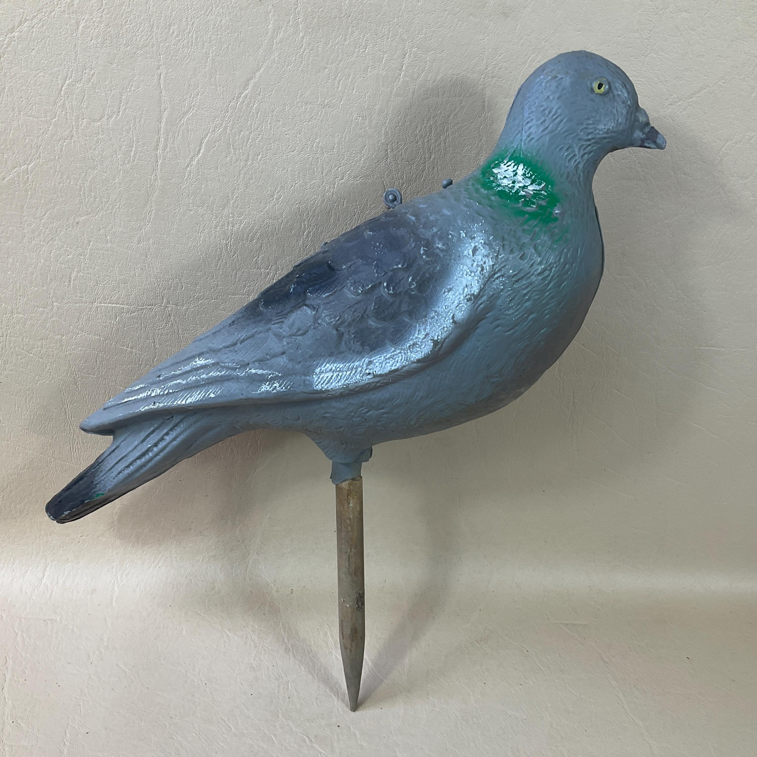 ヤマドリ 剥製 ケースなし 43.ヤマドリの剥製（ケース入り） | JuraTech, image size:3000x3000