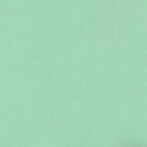 Japanese Bookcloth Mint