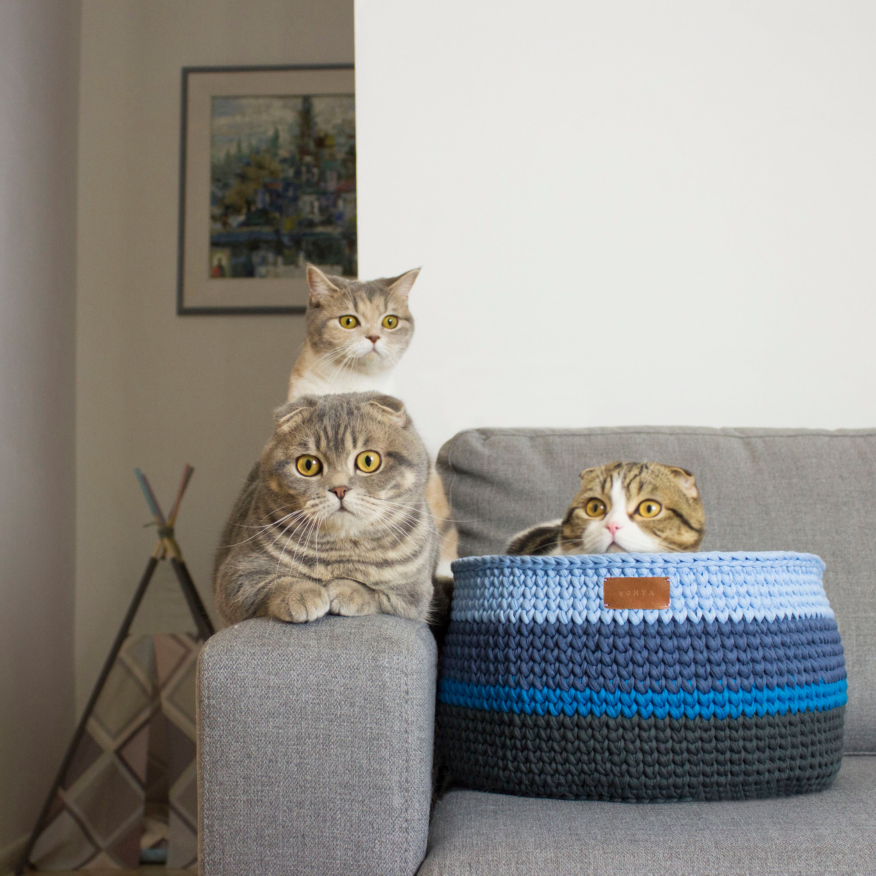 pets at home cat beds