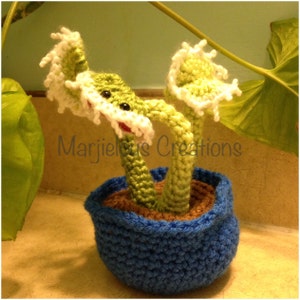 Venus Fly Trap Pattern