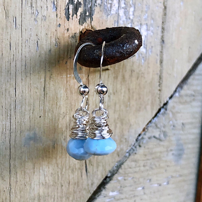 Owyhee Blue Opal Silver Earrings
