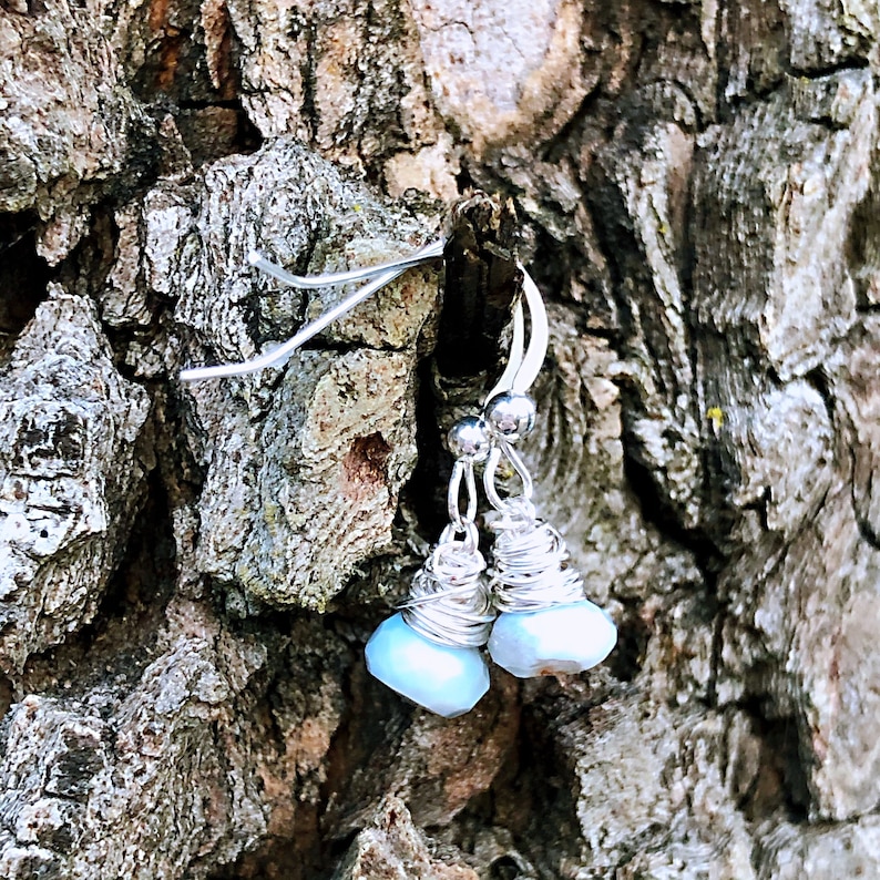 Owyhee Blue Opal Silver Earrings
