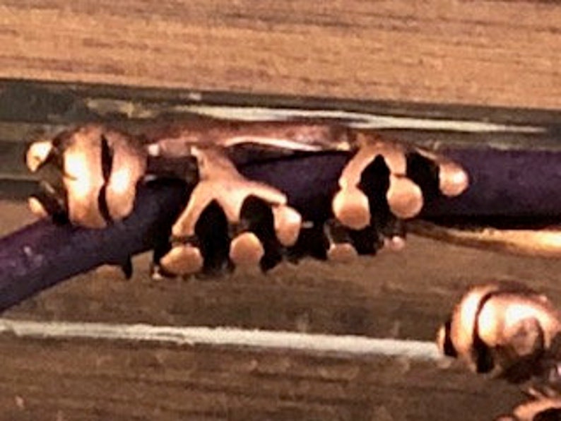 Qty 1 On Sale Now Zamak Iguana Tube For Up To 5mm Round Leather Cord Antique Copper Z5245