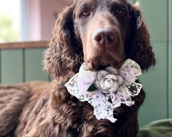 Corsage pour animal de compagnie en dentelle lilas : collier de fleurs de style vintage
