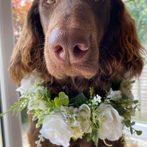 Dog Flower Garland,silk Flower Wedding Collar, white Ribbon sash Neck Accessory, ceremony collar,floral pet collar image 2