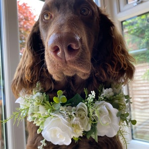 Dog Flower Garland,silk Flower Wedding Collar, white Ribbon sash Neck Accessory, ceremony collar,floral pet collar image 10