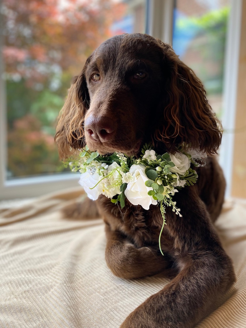 Dog Flower Garland,silk Flower Wedding Collar, white Ribbon sash Neck Accessory, ceremony collar,floral pet collar image 1