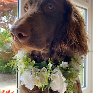 Dog Flower Garland,silk Flower Wedding Collar, white Ribbon sash Neck Accessory, ceremony collar,floral pet collar image 9