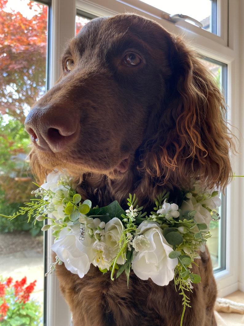 Dog Flower Garland,silk Flower Wedding Collar, white Ribbon sash Neck Accessory, ceremony collar,floral pet collar image 9