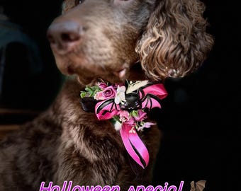 Corsage de fleurs pour collier de chien, collier d'Halloween, cadeau pour amoureux des chiens, portrait photo d'animal de compagnie, accessoires de collier prêts à porter