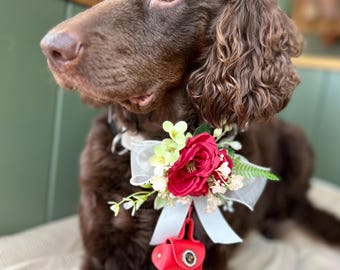 Wedding Dog Collar Corsage: Ring Bearer Outfit, Flower Collar Accessory Red Mini Purse Detatchable for the Rings , Keepsake Wedding Idea