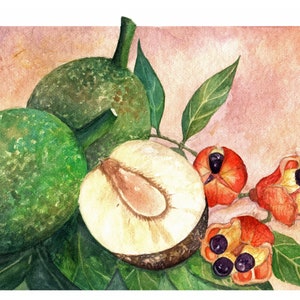 Ackee and Breadfruit Watercolor Art Print, Jamaica Food Art, Tropical Wall Art