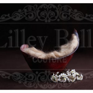 Digital Background - Digital Backdrop - Newborn Prop - Composite Backdrop - Photoshop - Newborn Backdrop - Red Tub with Dark Backdrop