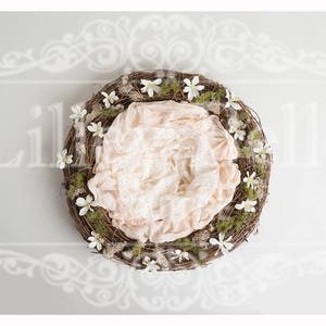 Digital Background - Digital Backdrop - Digital Prop - Newborn Background - Newborn Prop - Newborn Nest - Daisy Nest with Plain Backdrop