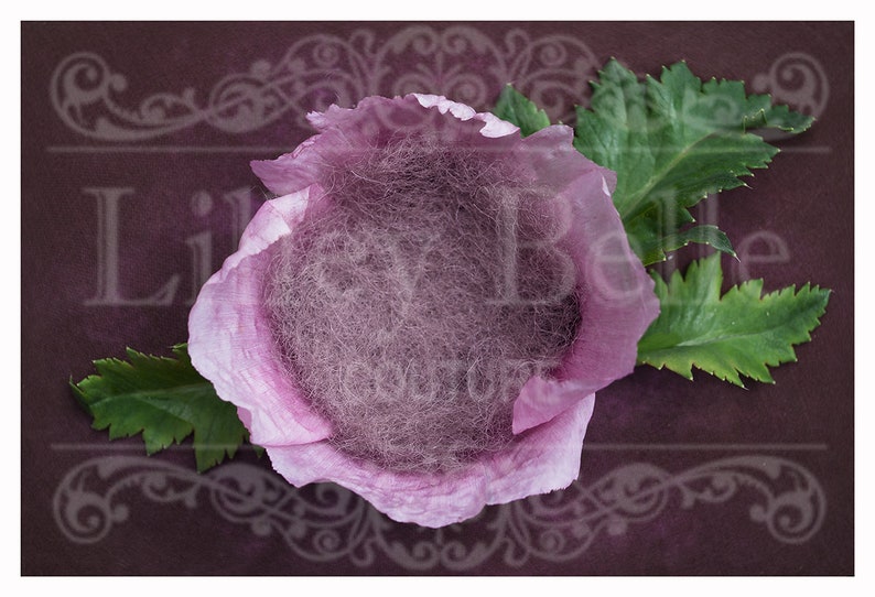 Poppy Nest with Textured Backdrop Overlay Digital Backdrop Photography Prop Digital Newborn Prop Digital Background Girl Prop