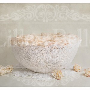 Digital Background - Digital Backdrop - Digital Newborn Prop - Composite Backdrop - Lace Basket with Soft Floral Textured Backdrop