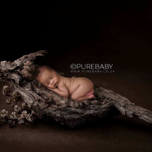 Digital Background - Digital Backdrop - Digital Newborn Prop - Composite Backdrop - Newborn Backdrop - Bark Bowl with Dark Textured Backdrop