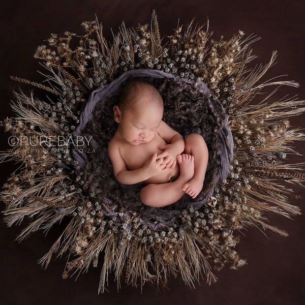 Digital Background - Digital Backdrop - Digital Newborn Prop - Photoshop - Composite Backdrop - Wild Grass Nest with Dark Textured Backdrop