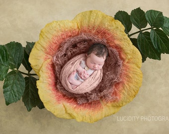 Digital Background - Digital Backdrop - Digital Newborn Prop - Composite Backdrop - Newborn Backdrop - Flower Nest with Textured Backdrop