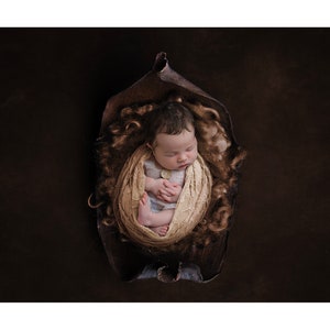 Digital Background - Digital Backdrop - Digital Prop - Newborn Prop - Newborn Digital - Boy Digital Background - Girl Digital Background
