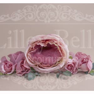 Digital Background - Digital Backdrop - Digital Prop - Digital Newborn Background - Composite Backdrop - Peony Nest on plain Backdrop