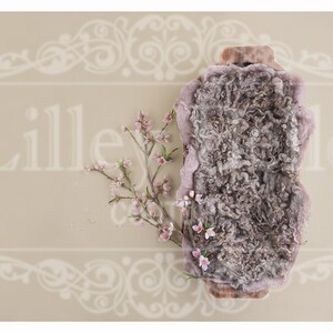 Digital Background - Digital Backdrop - Digital Newborn Prop - Photography Prop - Peach Blossom Trench Bowl and Felted with Cream Backdrop