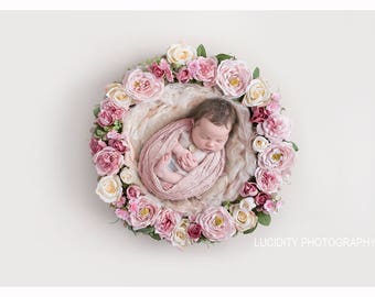 Digitale achtergrond - digitale achtergrond - digitale Nest - digitale Prop - pasgeboren Prop - samengestelde achtergrond - bloem krans - Pink Floral Nest