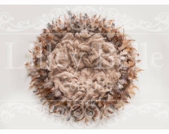 Digital Background - Digital Backdrop - Digital Prop - Photography Prop - Newborn Nest Prop  - Wreath Photo Prop - Double Feathered Nest