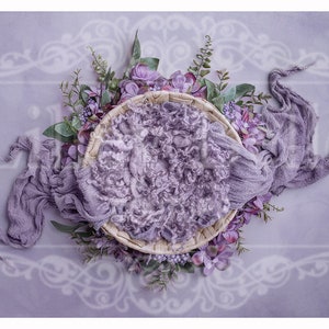 Digital Backdrop - Digital Background - Digital Newborn Prop - Girl Backdrop - Purple Floral Bowl with Hand Painted Backdrop